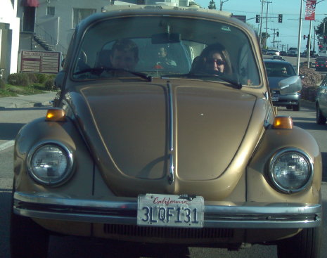 old beetle