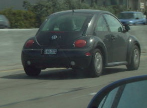 bugs through the windshield