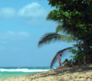 naked at the beach