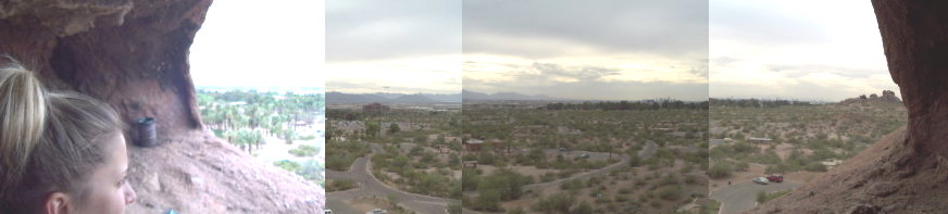 molly gaffey looks over arizona